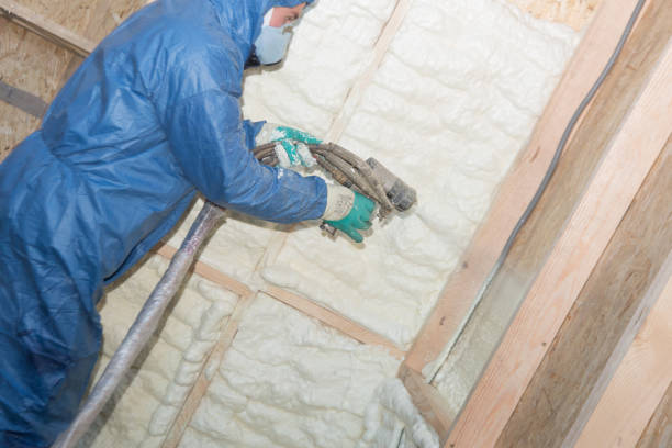 Types of Insulation We Offer in Rineyville, KY